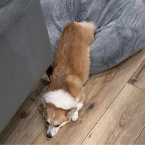 Meet your Posher, Mimi